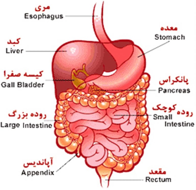 شرایط معافیت پزشکی بیماری دستگاه گوارش و جراحی عمومي